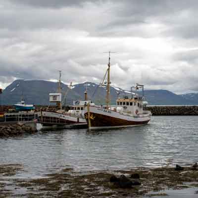 Tr&ouml;llskagi: Hauganes Whale Watching Schiffe